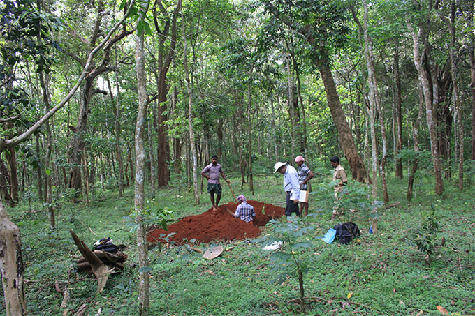 soil distribution