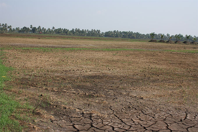 soil distribution