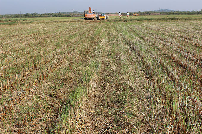 soil distribution