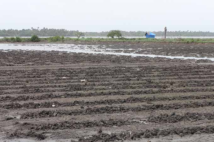 soil distribution