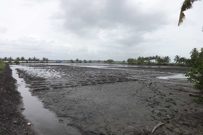 soil distribution