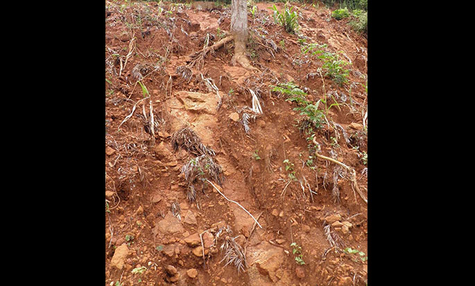 STEEP SLOPES AND EROSION