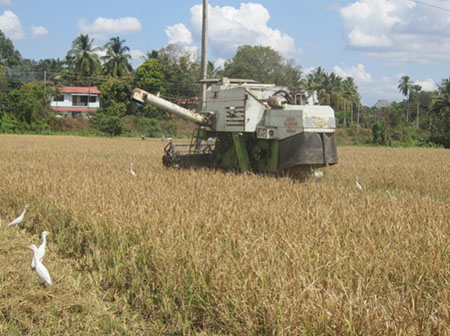 Vadakkancherry