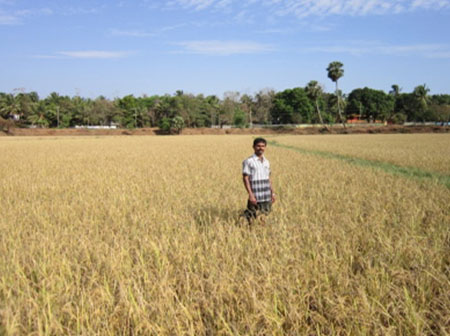 വടക്കഞ്ചരി കൃഷിഭവന്‍