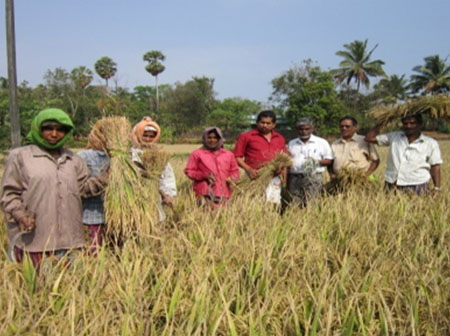 വടക്കഞ്ചരി കൃഷിഭവന്‍